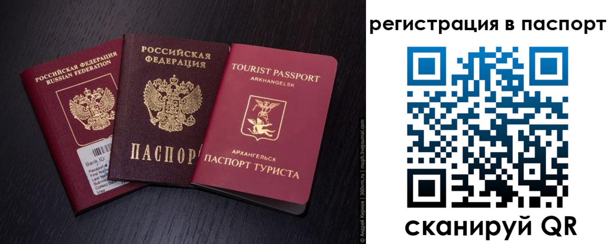 прописка в квартире в Пионерском